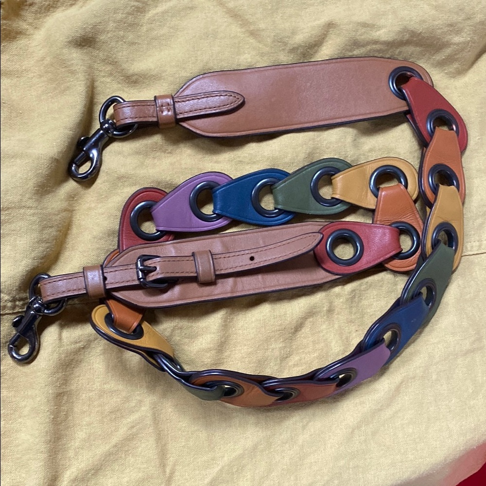 Coach Brown Strap with Rainbow Leather and Metal Details